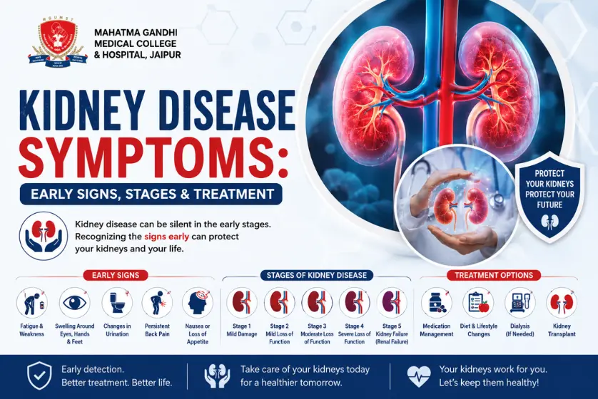 What Are Kidney Disease Symptoms? The Signs Most People Miss