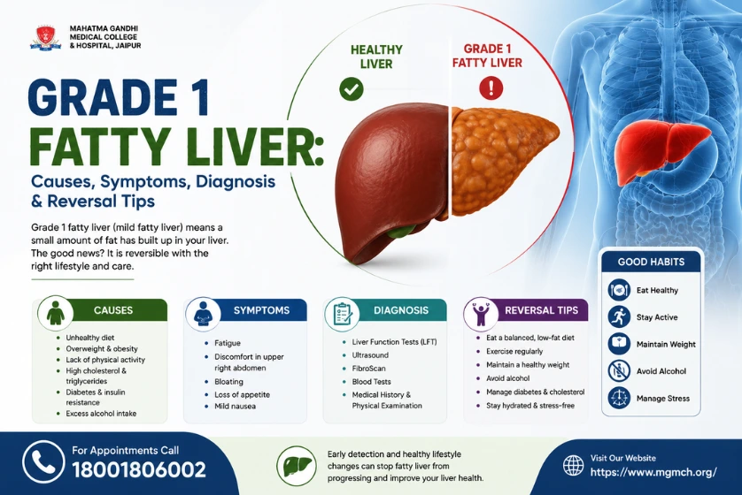 Grade 1 Fatty Liver